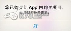 航海王强者之路iOS常见问题解决方法 高效资源获取指南