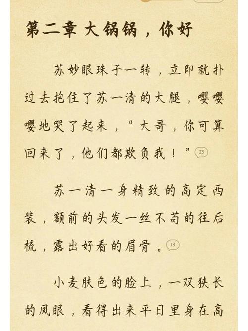 苏软软汆肉的日常系统上线，用户评论：这款应用真的让我大开眼界！