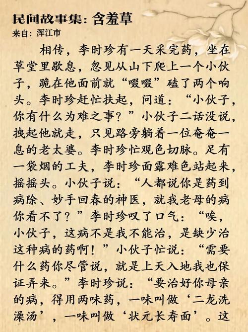 含羞草免费观看电视剧的背景故事揭秘，网友：一场情感与成长的交织之旅