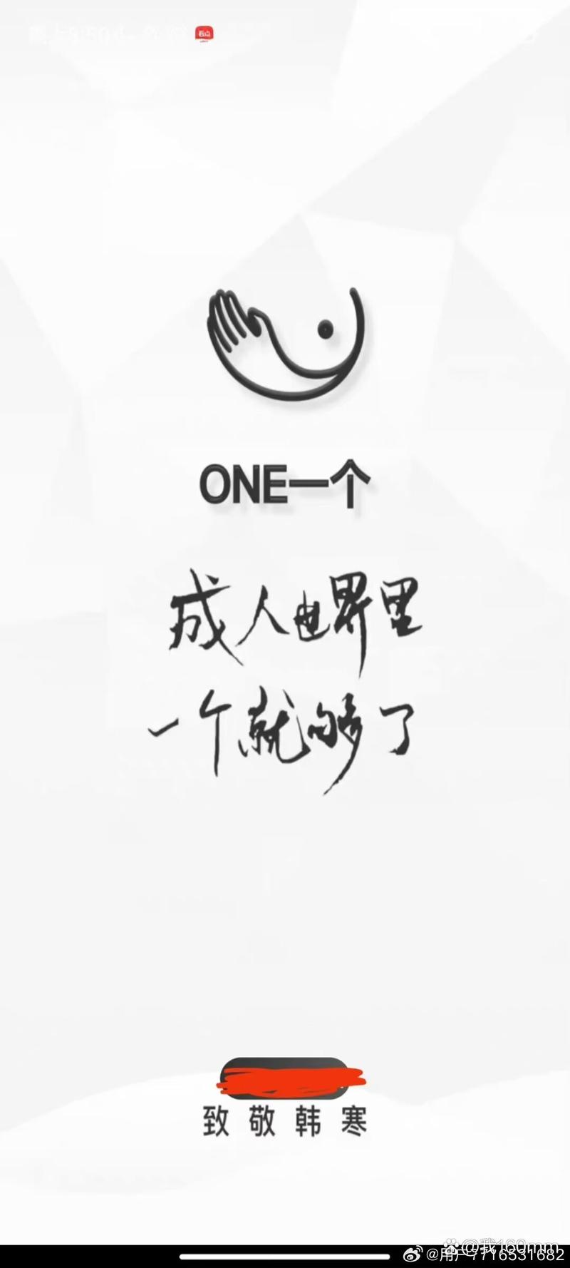 one一个成年版致敬韩寒