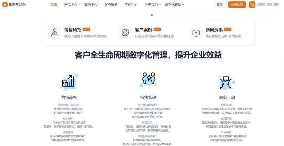  国内在线永久CRM有哪些优势：深入分析与解读