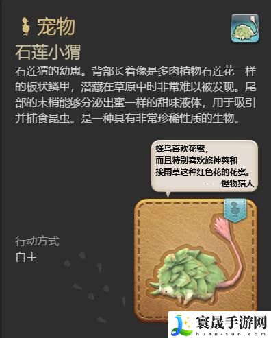 最终幻想14：水晶世界石莲小猬获得方法：神秘商店购买指南