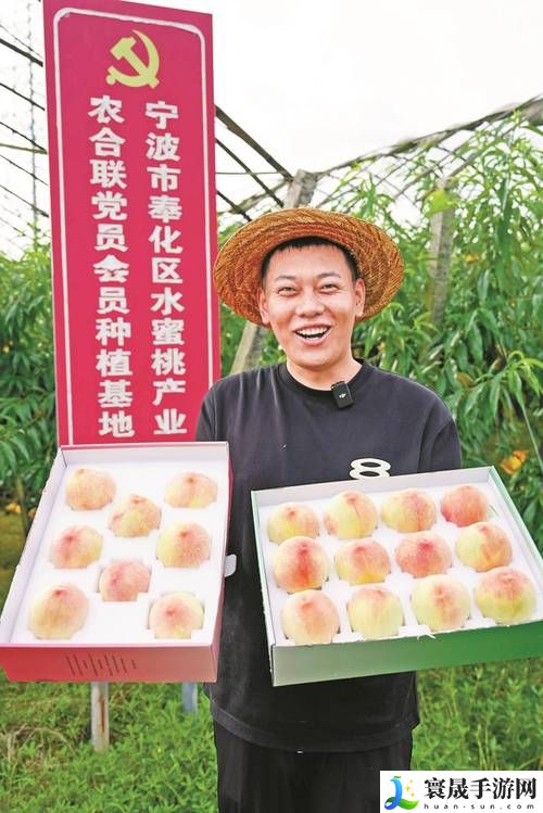 蜜桃国精产品二三三区市场：洞察趋势与消费潜力