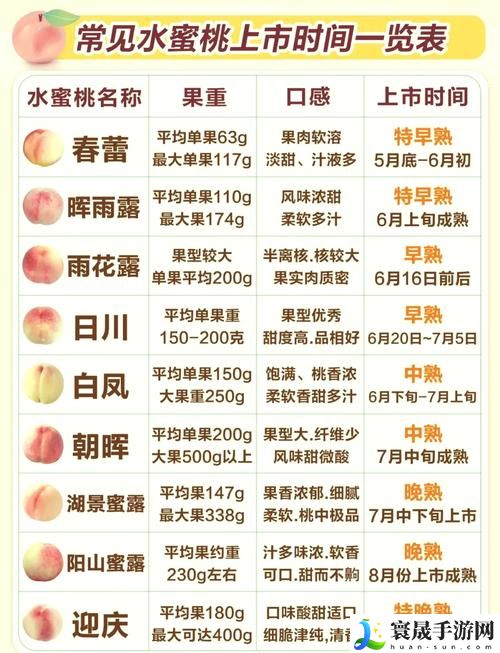  蜜桃国精产品二三三区：掀起健康饮食的新潮流