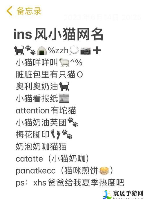  探索未知的网络世界：猫咪最新永久地域网名是什么