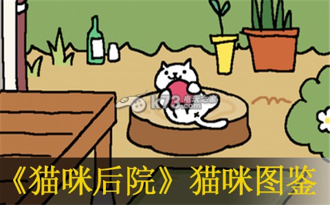 猫咪后院猫咪图鉴 优先完成紧急任务获取丰厚奖励