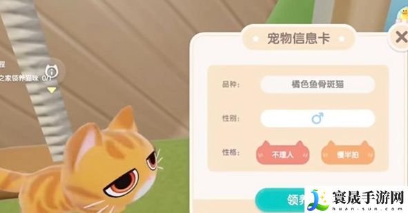 《心动小镇》养猫攻略一览